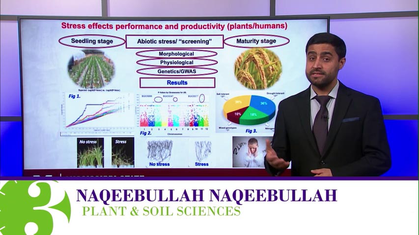 Naqeebullah Naqeebullah, PhD