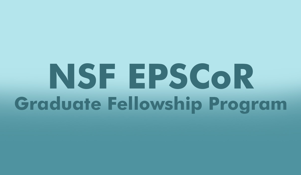 nsf fellowship